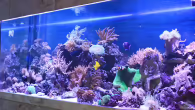 Becken 22344 von Manfred Janßen