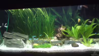 Becken 22390 von Daniel Brüninghaus