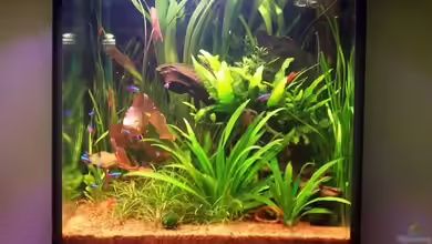 Becken 2247 von Michael Baer