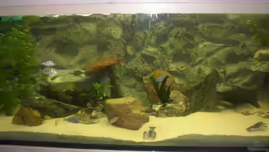 Becken 227 von Sabine Deiters