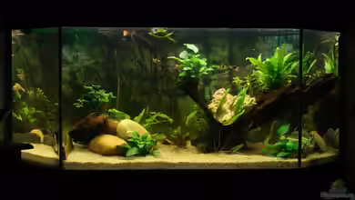 Becken 22708 von Sunnyboy_72