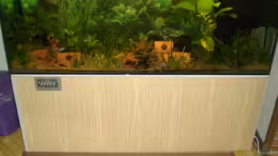 Becken 2279 von Tobias Ziemzek