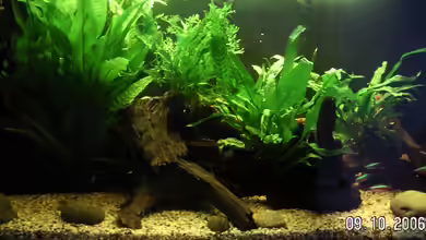 Becken 2286 von Sebastian Zunhammer