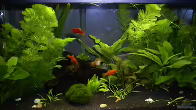 Becken 229 von Marc Brecht