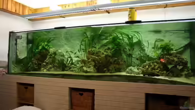 Becken 2293 von Lars Leonhardt