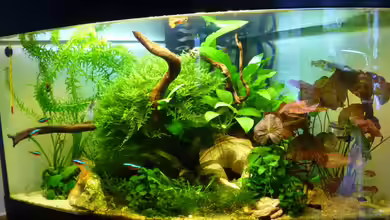 Becken 22944 von tanja4