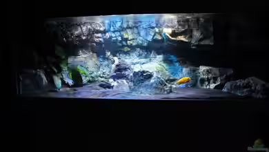 Becken 22990 STEHT ZUM VERKAUF !!! von ~MISCHA WILKEN~