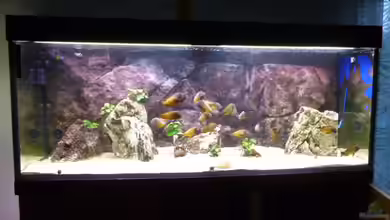 Becken 23040 aufgelöst 2019 von Erik S.