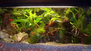 Becken 2326 von Markus Heib