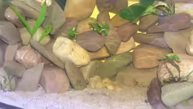 Becken 2341 von David Leßnig