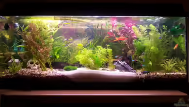 Becken 23418 von Snawatz