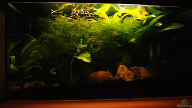 Becken 2349 von Malte Horlitz