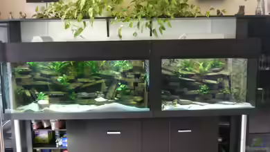 Becken 23529 von Jedy