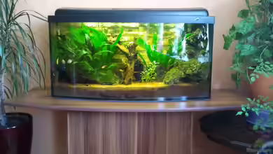 Becken 23725 von Martin Bolz