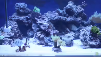 Becken 23837 von David F.