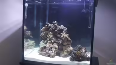 Becken 2397 von Sebastian Zunhammer