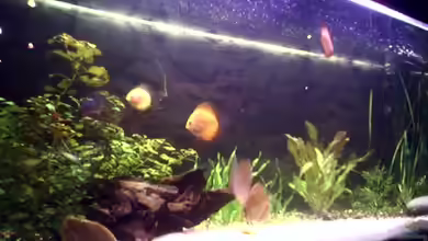 Becken 2400 von Matthias Rößler