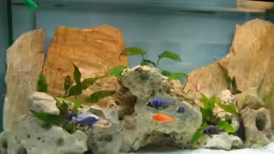 Becken 2406 von Florian Selzer