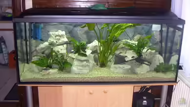 Becken 2409 von Andy Lißner