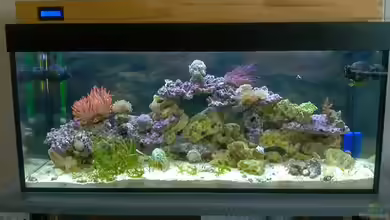 Becken 24250 von Dirk Schäfer