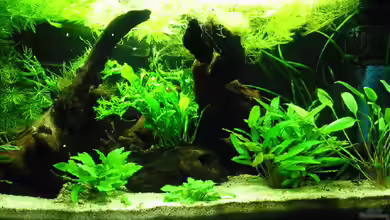 Becken 2427 von Münker Stephan