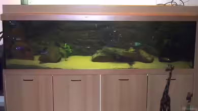 Becken 2461 von Jan Kadletz