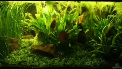 Becken 2500 von Marcus Schulte