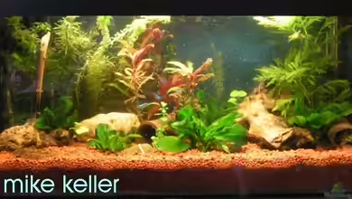 Becken 2511 von Mike Keller