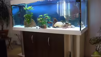 Becken 2517 von Eva Neuhaus