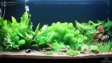 Becken 25465 von Sascha T.