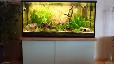 Becken 25584 von MaTrou