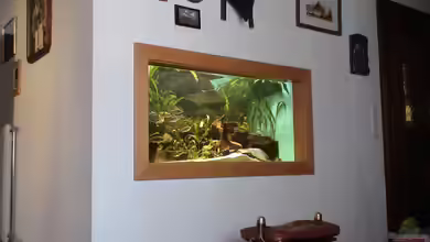 Becken 2573 von Julianno47