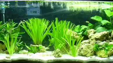 Becken 2580 existiert nicht mehr von djhitek