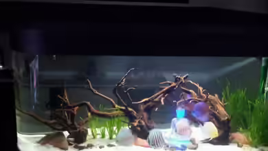 Becken 26301 von Timo2208