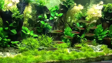 Becken 26321 von Olli Nano