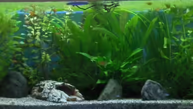 Becken 2638 von Daniel Raasch