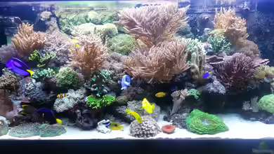 Becken 26483 von urbi