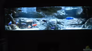 Becken 26682 von airborn28