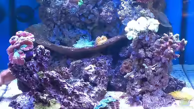 Becken 26778 von Stefan Eckers