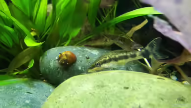 Becken 27133 von Kathrin77