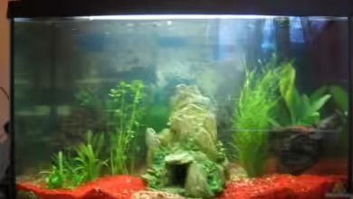 Becken 2715 von Nicole Müller