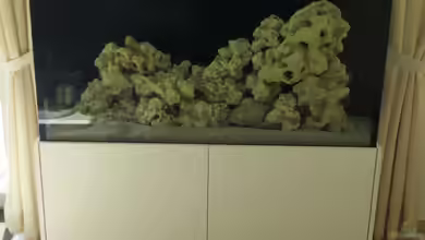 Becken 27165 von Tom M.