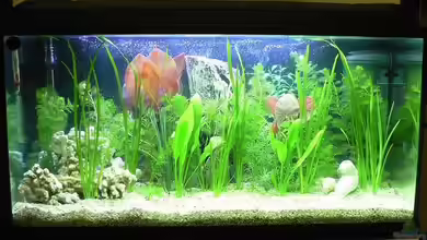 Becken 2719 von Mario Kaiser