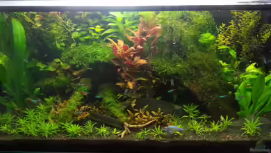 Becken 27343 von Marcel Witt