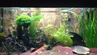 Becken 27368 von Svenja Zeidler