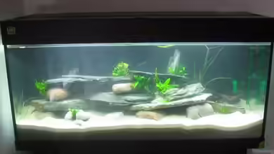 Becken 2746 von Heike Bergmann