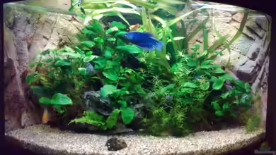 Becken 27671 von ecki