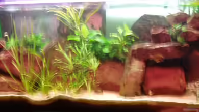 Becken 2770 von Sandro Iffert