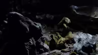 Becken 27745 von namaycushfreak