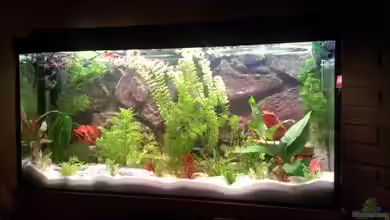 Becken 27772 von Jan H.